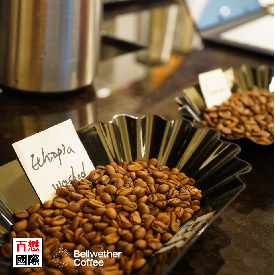 美國Bellwether 無煙電力烘豆機 SHOP ROASTER