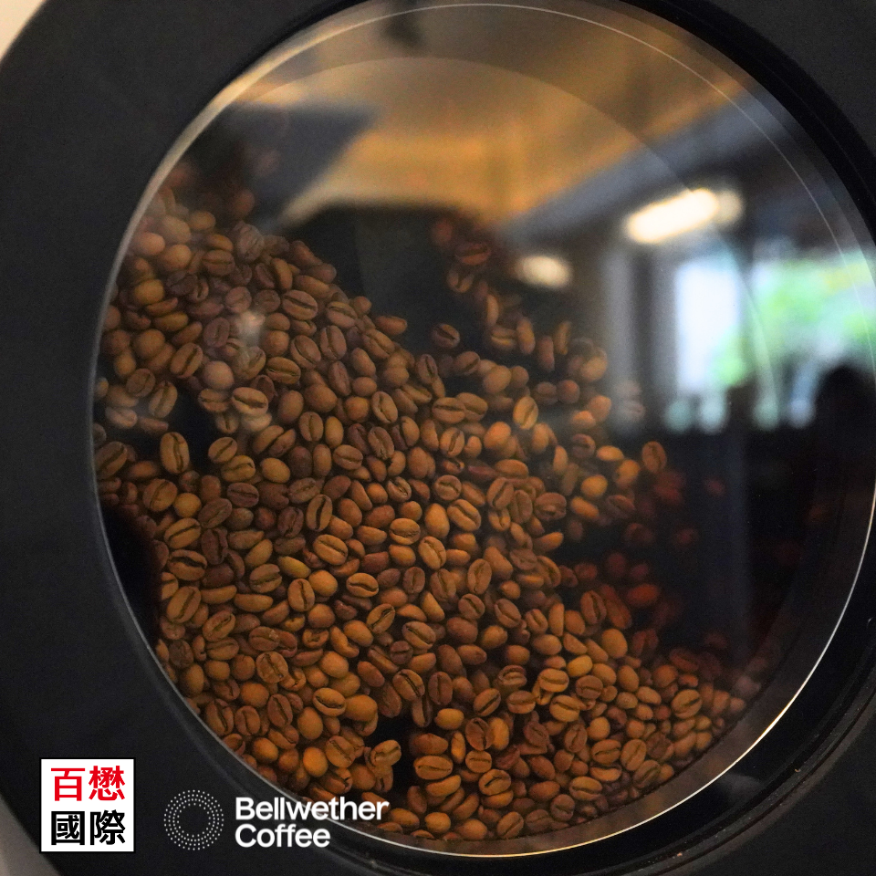 美國Bellwether 無煙電力烘豆機 SHOP ROASTER