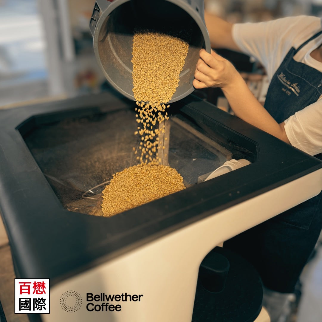 美國 Bellwether SHOP ROASTER 無煙電力烘豆機