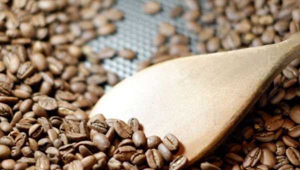 精品咖啡豆配方如何隨市場需求演進？